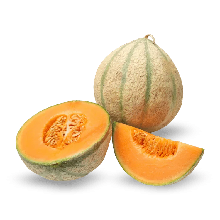  Muskmelon Lining - खरबूजा लाइन दार