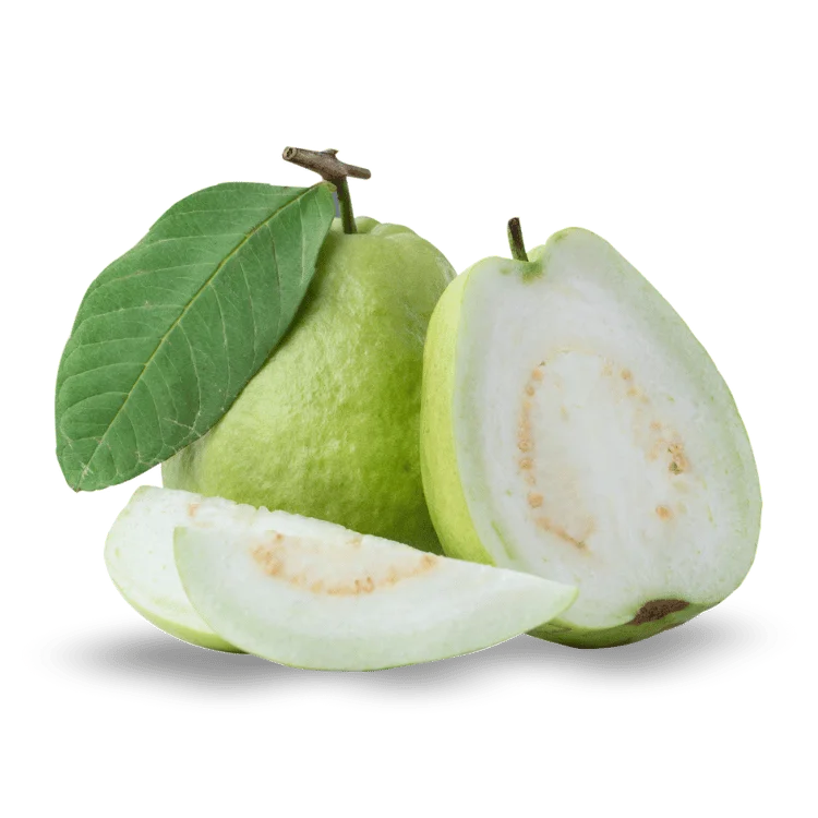 Guava - अमरूद