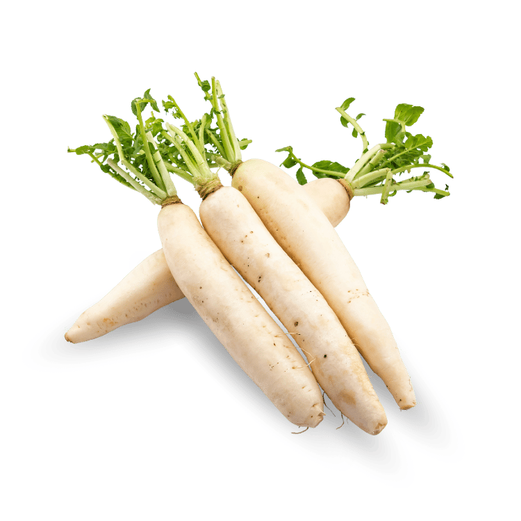 Radish - मूली