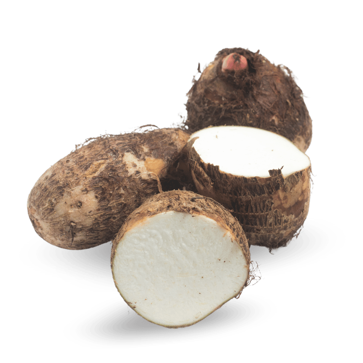 Colocasia - अरबी